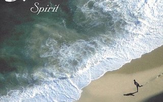 Dervish: Spirit -cd (Irkku meininkiä!)