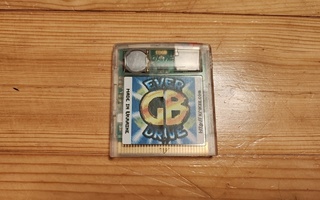 Game Boy Everdrive