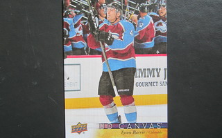 UD CANVAS TYSON BARRIE