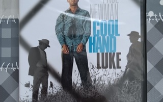 Cool Hand Luke (4K UHD)