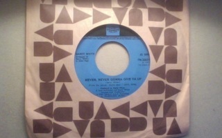 BARRY WHITE  ::  NEVER, NEVER GONNA GIVE YA UP : VINYYLI  7"