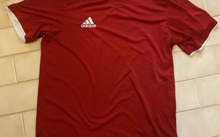 Adidas Urheilupaita T-paita Punainen Koko M