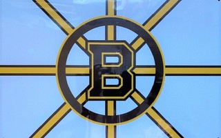 Kyltti Boston Bruins