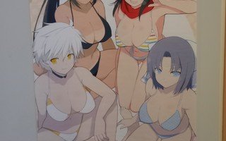  Senran Kagura virallinen kangasjuliste