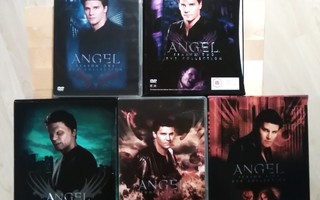 Angel 1-5 tuotantokaudet