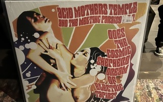Acid Mothers Temple And The Melting Paraiso U.F.O.* - Does T