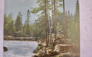 VANHA Postikortti Ilomantsi 1913