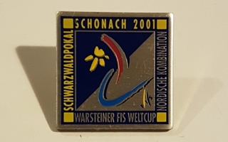 SCHONACH 2001 PINSSI