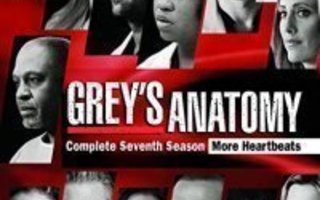 Greyn Anatomia - Kausi 7  DVD