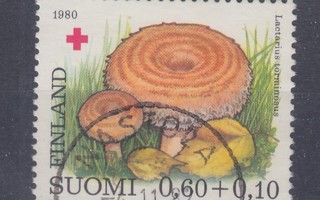 Pr 1980 0,6 mk. loistoleimalla