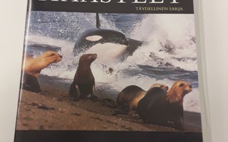 Eloonjäämisen Haasteet (David Attenborough) (3dvd)