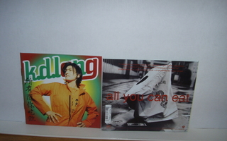 k.d. lang CD All You Can eat