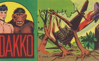 VIIDAKKO 1957 24 (3 vsk.)