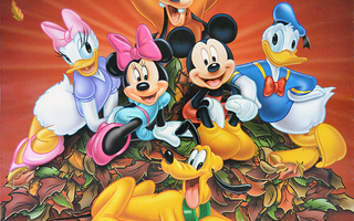 Elokuvajuliste: Disney-DVD - 3 kpl!