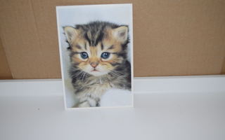 postikortti  (T)  Kissa