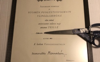 Myöntökirja II luokan Vapaudenmitali 1941