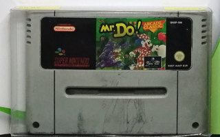 Mr. Do! (L) (kasetti likainen) (EU) SNES (Käytet