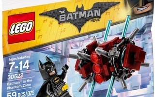 [ LEGO Minifigures ] Batman in the Phantom Zone (sh318)