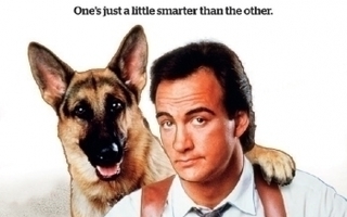 K-9	(70 431)	UUSI	-FI-		DVD		james belushi	1989