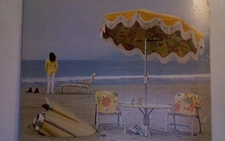 NEIL YOUNG :: ON THE BEACH :: VINYYLI  LP ORIGINAL  1974