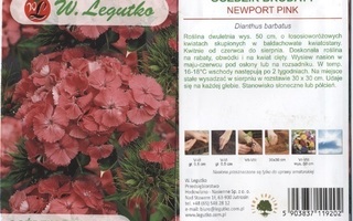 Harjaneilikka "Newport Pink" - siemenet