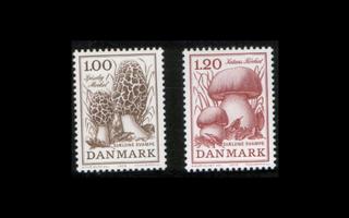 Tanska 673-4 ** Harvinaisia sieniä (1978)
