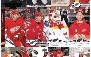 12 x DETROIT RED WINGS mm. Helm, Cleary.....