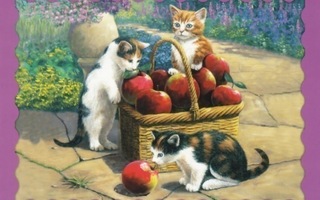 Kevin Walsh: Kolme kissaa, omenakori