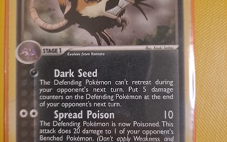 Dark Raticate 17/109 rare card