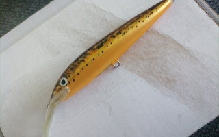 Erikoinen Rapala