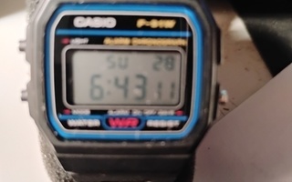 Casio f-91w-1yrg