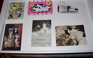postikortti kissa 35kpl