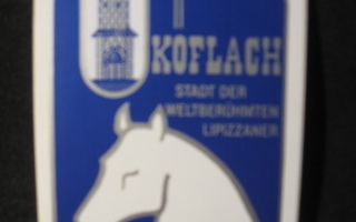 Lipizzaner -  Köflach Itävalta