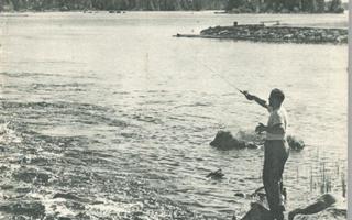 Metsästys ja kalastus, heinä-elokuu 1959