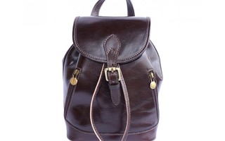 Coffee Backpack purse with calf-skin leather