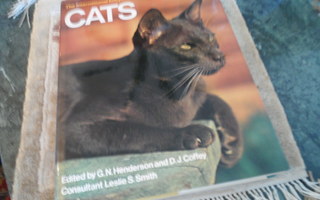 International Encyclopedia of Cats v.1980 Kuin uusi