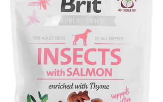 Brit Care Dog Insects&Salmon - Koiran herkku - 2