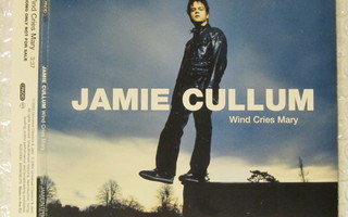 Jamie Cullum • Wind Cries Mary PROMO CD-Single