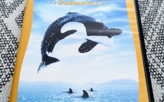 Free Willy Collection - DVD (4 levyä)