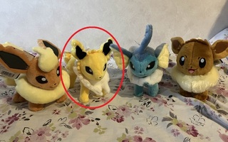 Pokemon pehmolelu Jolteon (valmistaja Takara Tomy)