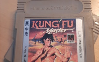 Gameboy Kung Fu Master