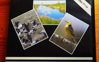 Dave Gosney : FINDING BIRDS IN ESTONIA *DVD*