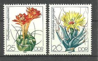 KUKAT kaktukset kasviahieinen sarja DDR 1983 **