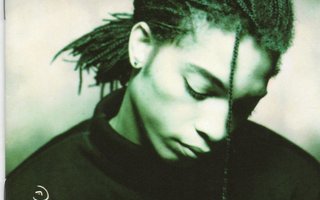TERENCE TRENT D'ARBY Introducing The Hardline ...