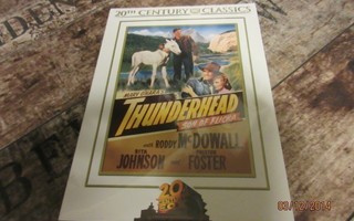 Thunderhead Son of Flicka (1945) DVD *uusi*