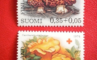 Suomi postimerkit SPR postituore 1974