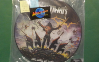 MANOWAR - THELORD OF STEELE M 2LP PICTURE VINYLS