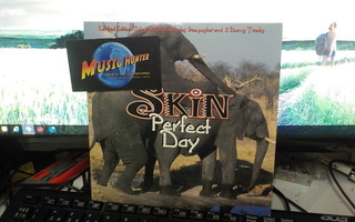 Skin - Perfect Day UK 1996 EX-/EX- 7"