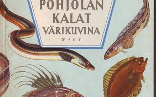 Pohjolan kalat värikuvina - Erkki Halme 1 painos