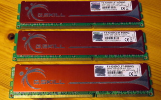 6 GB (3x2GB) G.Skill DDR3 1600 Mhz Triple Channel Kit